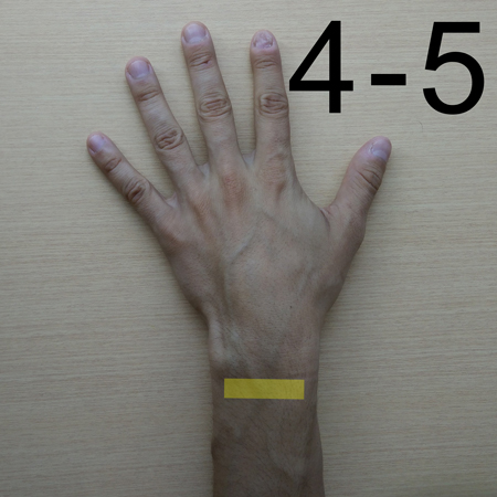 : Position pour les quatrième et cinquième compartiments, au centre du poignet